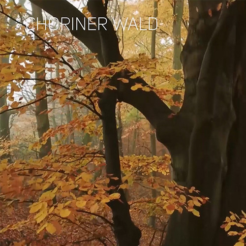 "CHORINER WALD" - Der Film | BDF - Bund Deutscher Forstleute